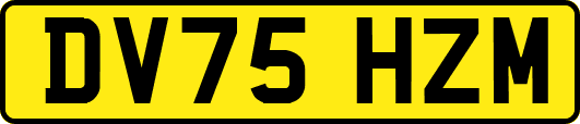 DV75HZM
