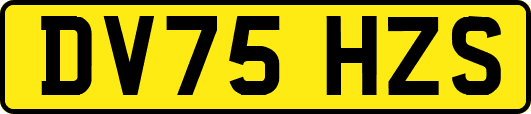 DV75HZS
