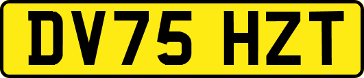 DV75HZT