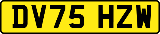 DV75HZW