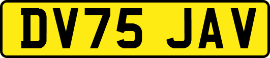 DV75JAV