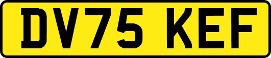 DV75KEF