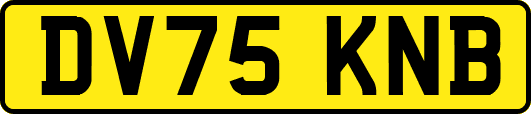 DV75KNB