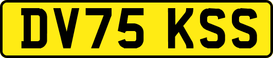 DV75KSS