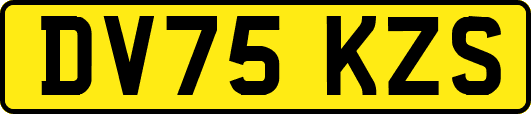 DV75KZS