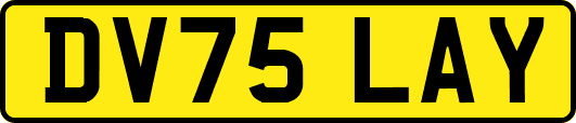 DV75LAY