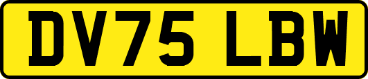 DV75LBW