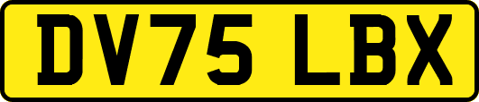 DV75LBX