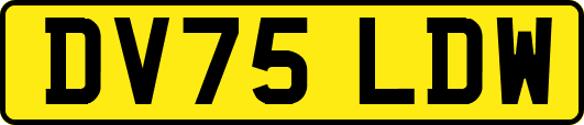 DV75LDW