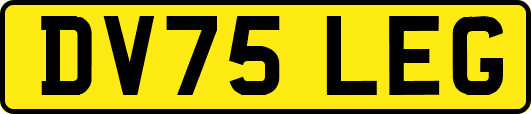 DV75LEG