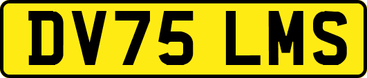 DV75LMS