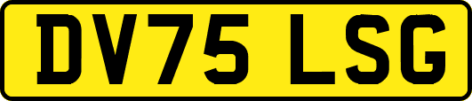 DV75LSG