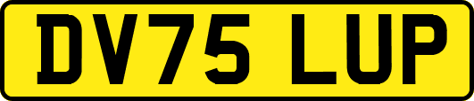 DV75LUP