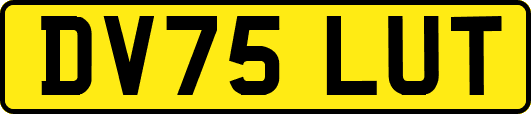 DV75LUT