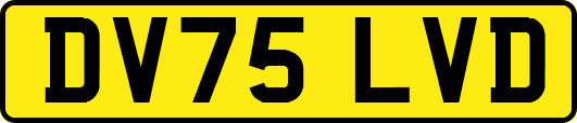 DV75LVD
