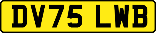 DV75LWB