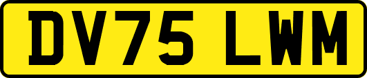 DV75LWM