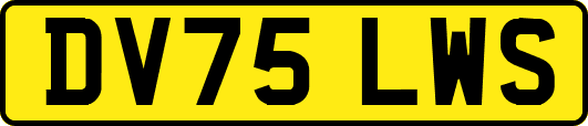 DV75LWS