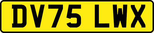 DV75LWX