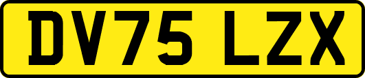 DV75LZX