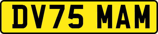 DV75MAM