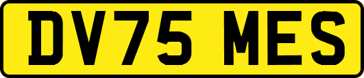 DV75MES