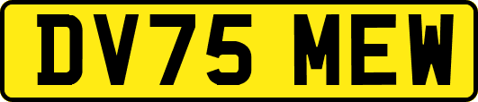 DV75MEW