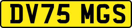 DV75MGS