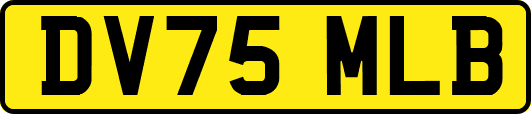 DV75MLB