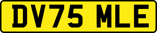 DV75MLE