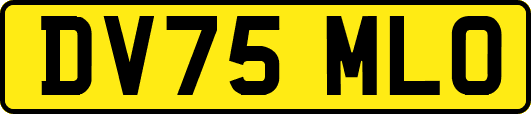 DV75MLO