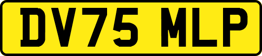 DV75MLP