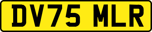 DV75MLR