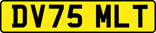 DV75MLT