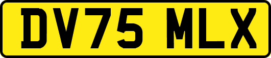 DV75MLX