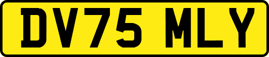 DV75MLY