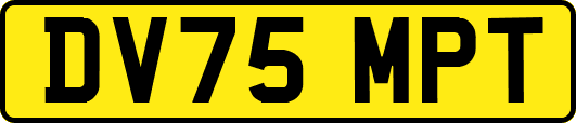 DV75MPT