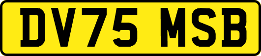 DV75MSB