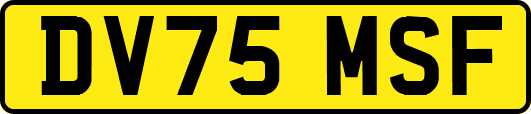 DV75MSF