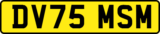 DV75MSM