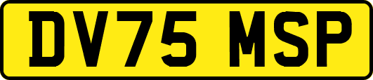 DV75MSP