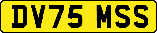 DV75MSS