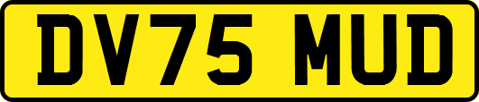 DV75MUD