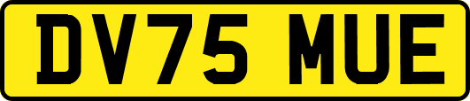 DV75MUE