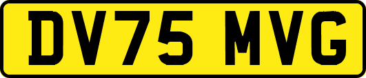 DV75MVG