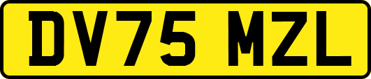 DV75MZL