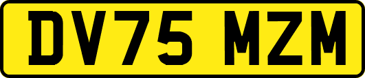 DV75MZM
