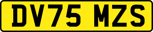 DV75MZS