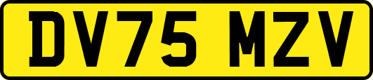 DV75MZV