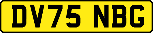 DV75NBG